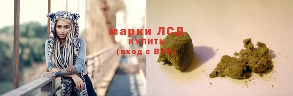 гидра Алексин
