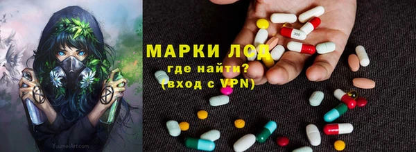 гидра Алексин