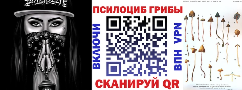 хочу   Ступино  Галлюциногенные грибы Cubensis 